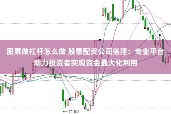 股票做杠杆怎么做 股票配资公司搭建：专业平台助力投资者实现资金最大化利用