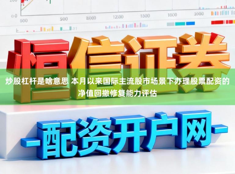 炒股杠杆是啥意思 本月以来国际主流股市场景下办理股票配资的净值回撤修复能力评估