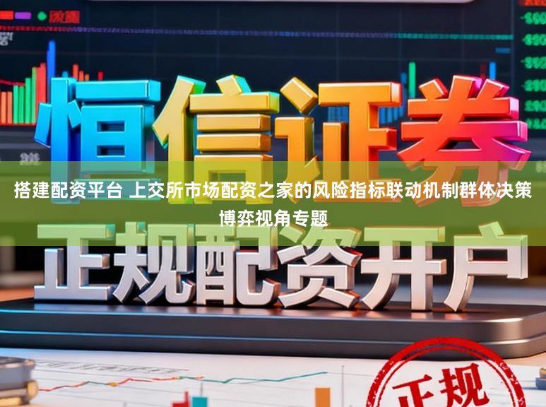 搭建配资平台 上交所市场配资之家的风险指标联动机制群体决策博弈视角专题